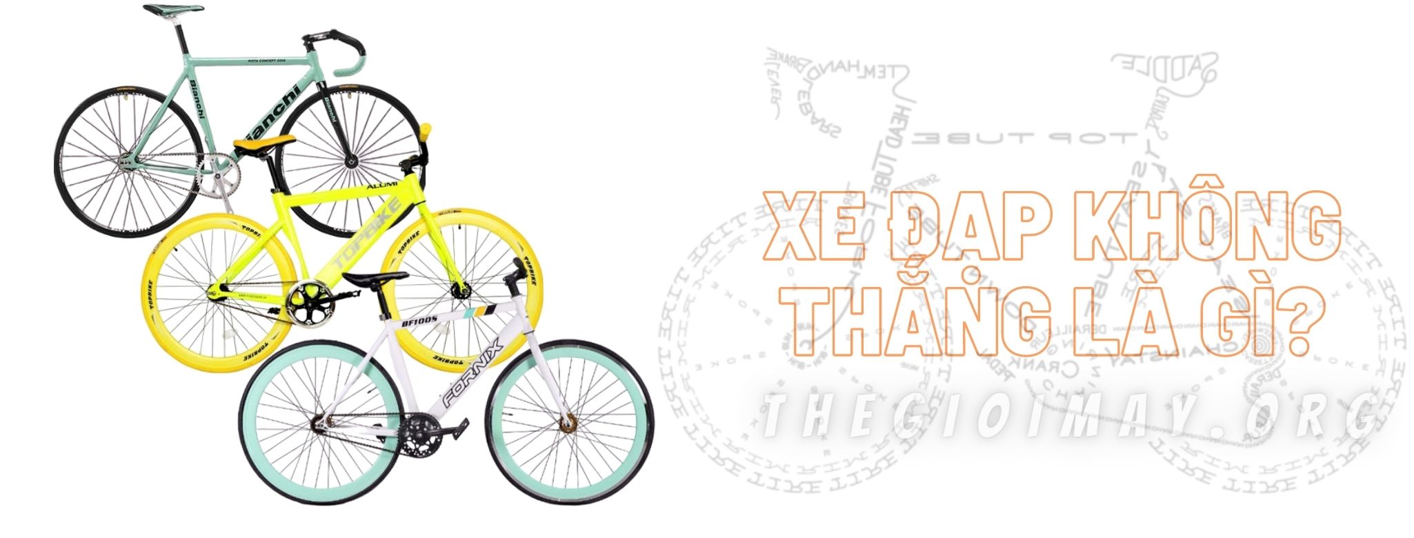 Tìm hiểu 100 thông tin về xe đạp tuyệt vời nhất  daotaonec