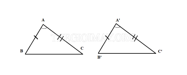 Hình ảnh: Trường hợp đồng dạng góc - góc của hai tam giác
