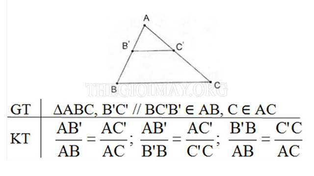 Hình ảnh: Định lý tam giác đồng dạng (Hay còn gọi là định lý Ta - let)
