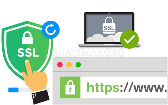 Cổng bảo mật SSL khi truy cập website chính là một dạng mã hóa khóa công khai