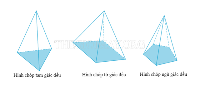 Hình chóp tam giác đều, hình chóp tứ giác đều có tên gọi xuất phát từ hình dạng mặt đáy
