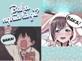 Những điều cần biết về từ “baka”