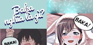 Những điều cần biết về từ “baka”