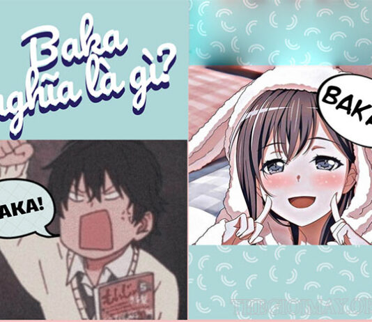 Những điều cần biết về từ “baka”