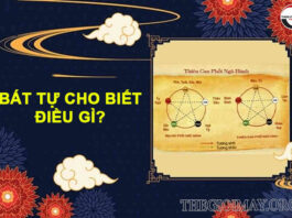 Những thông tin được biết sau khi giải lá số bát tự