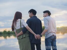 Tìm hiểu ý nghĩa của câu mèo mả gà đồng