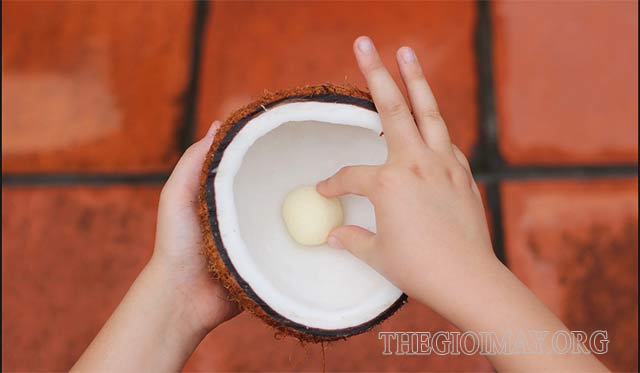 Công dụng của mầm dừa đối với sức khỏe