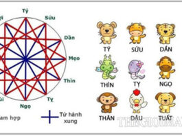 Tìm hiểu thông tin chi tiết về năm tuổi