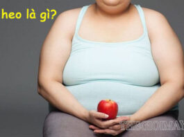 Tìm hiểu thông tin chi tiết về ngải heo