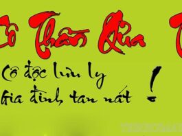 Ý nghĩa của sao cô thần quả tú chiếu mệnh