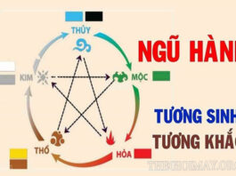 Tìm hiểu về thuyết ngũ hành tương sinh Thổ sinh Kim