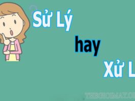 Tìm từ đúng chính tả “Xử lý hay sử lý”Tìm từ đúng chính tả “Xử lý hay sử lý”