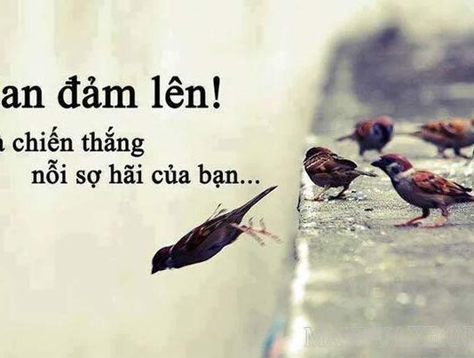 Biểu hiện của lòng can đảm trong học tập và công việc