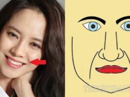 Tìm hiểu thông tin về râu rồng