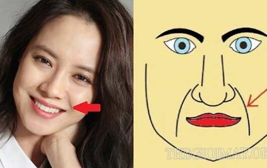 Tìm hiểu thông tin về râu rồng