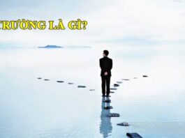 Tìm hiểu thông tin chi tiết về lập trường