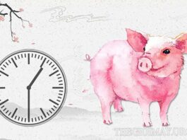 Vận mệnh của người sinh giờ hợi theo khung giờ