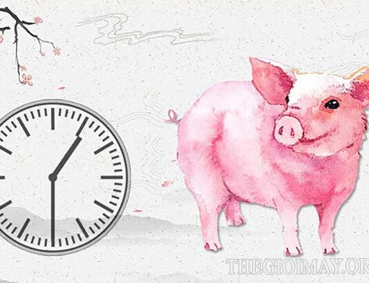 Vận mệnh của người sinh giờ hợi theo khung giờ