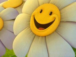 Những câu nói hay về tinh thần lạc quan được nhiều người yêu thích