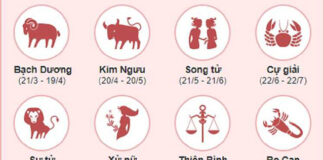 Tìm hiểu các thông tin về cung hoàng đạo