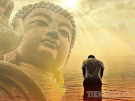 Lý do nên từ bỏ tam độc tham sân si