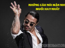 Những câu nói mặn mà hay và ý nghĩa