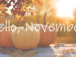 Những câu chào tháng 11 bằng tiếng anh vừa hay, vừa ý nghĩa lại dễ nhớ