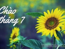 Những câu chào tháng 7 yêu thương hay và ý nghĩa