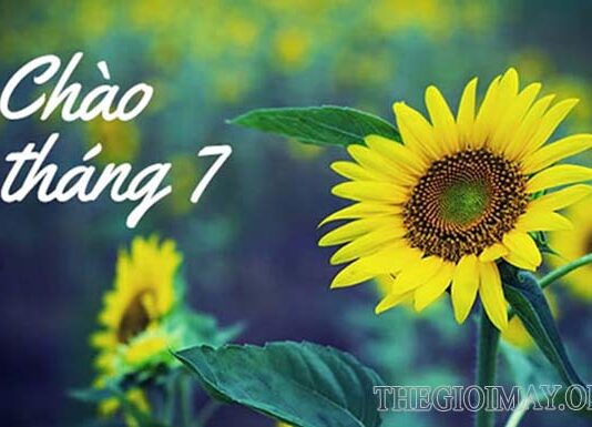 Những câu chào tháng 7 yêu thương hay và ý nghĩa