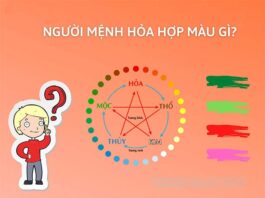 Màu hợp với mệnh Hỏa giúp mang lại may mắn