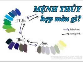 Màu hợp mệnh Thủy giúp thu hút tài lộc, may mắn