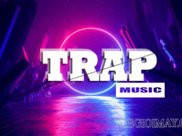 Một số ý nghĩa khác của từ trap