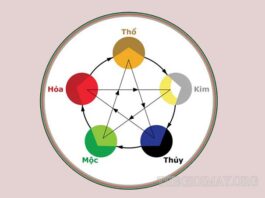 Tuổi hợp với mệnh Kim trong thuyết ngũ hành